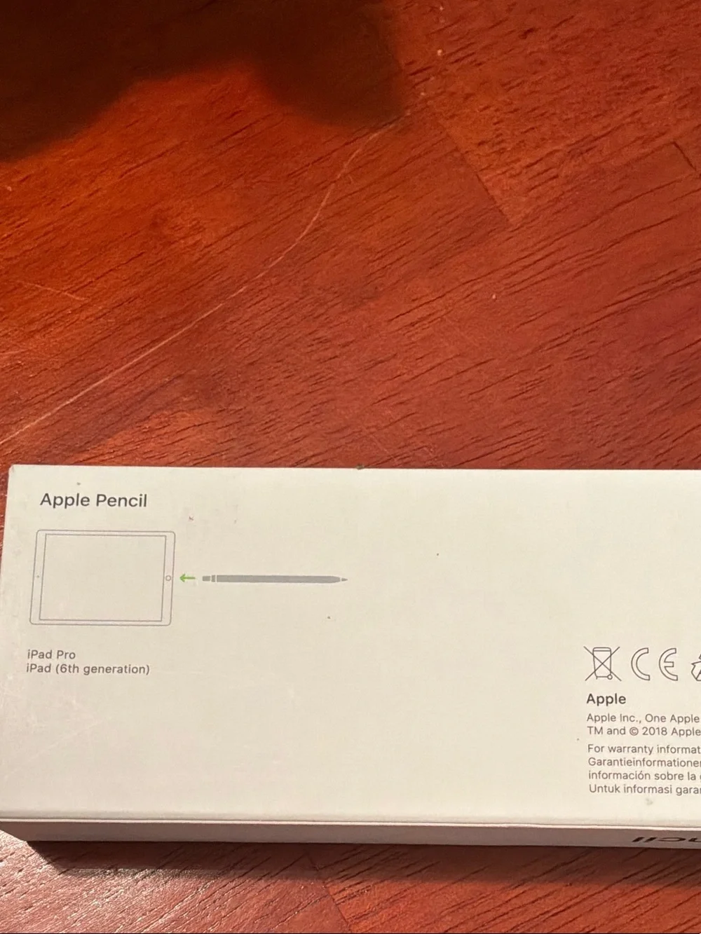 Apple Pencil (Stylus)